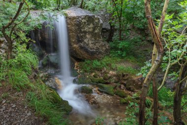 gorge tasnei Stream. Baile herculane, Romanya 