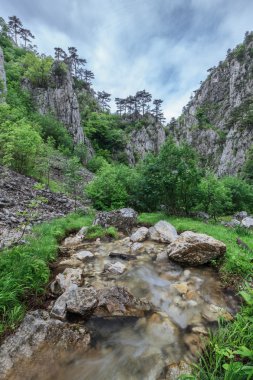 Tasnei Gorge