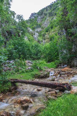 Tasnei Gorge