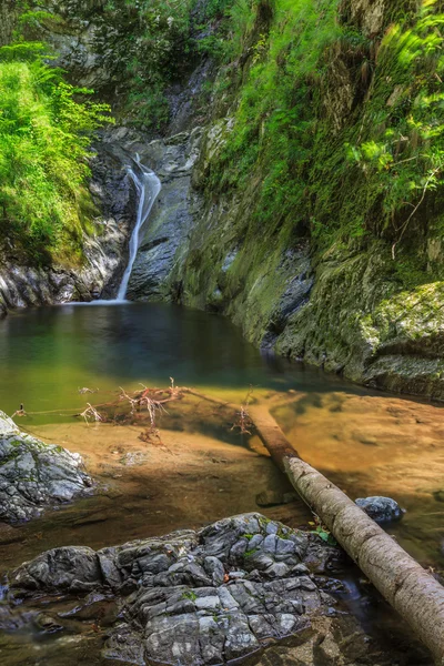 Valea lui stan rokle, Rumunsko — Stock fotografie