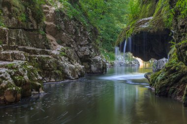 nera beusnita gorges milli park, Romanya bigar art arda düşüyor