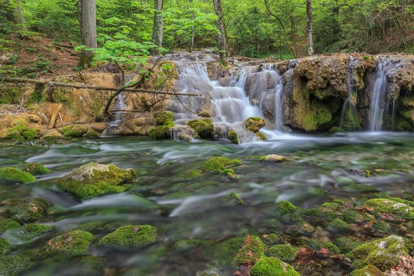 Beusnita stream, Romania — Stock Photo, Image