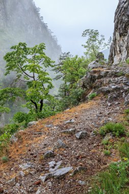 tasnei gorge, Romanya