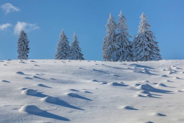 Romanya 'nın Bucegi Dağları' nda kış aylarında yangınlar