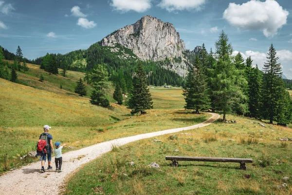 Anne ve küçük oğlu yazın güzel bir dağ otlağında yürüyüş yapıyor. Yazın Yukarı Avusturya 'da Wurzerarlm' a ateş edildi.