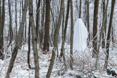 Ormandaki karlı dallar arasında hayalet figürü.
