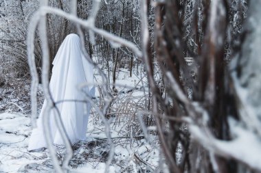 Ormandaki karlı dallar arasında hayalet figürü.