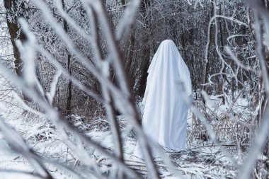 Ormandaki karlı dallar arasında hayalet figürü.