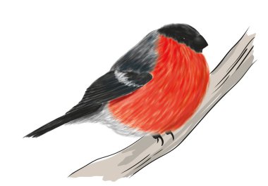 Bir dalda oturan ispinoz kuşu. Yeni yıl dekorasyonu