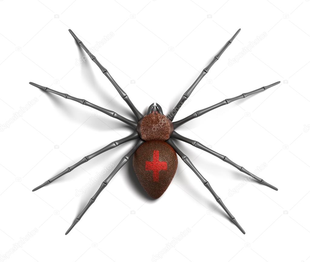 Spider : Black Widow. Isolated on white surface. 3D render.