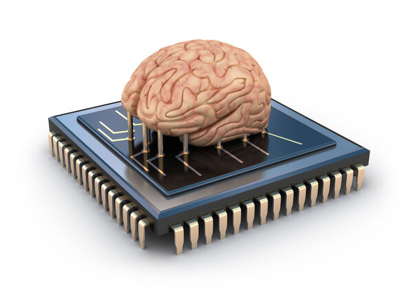 Human brain and computer chip, 3D concept