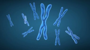 Kromozom x ve dna iplikçikleri