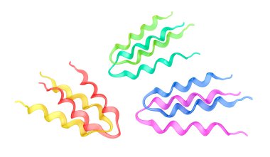 protein 3B model üzerinde beyaz