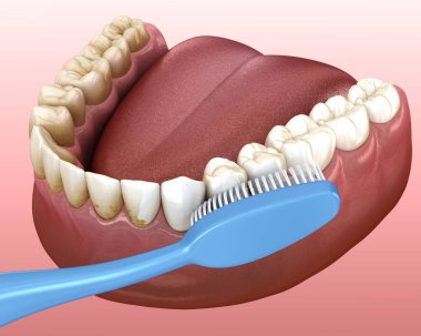 Diş fırçası diş temizliği. Ağız hijyeninin tıbbi açıdan doğru üç boyutlu çizimi.