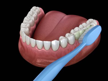 Diş fırçası diş temizliği. Ağız hijyeninin tıbbi açıdan doğru üç boyutlu çizimi.