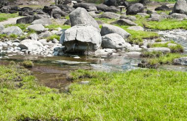 Doi Pha Hom Pok 'taki kaplıca göleti Chiang Mai