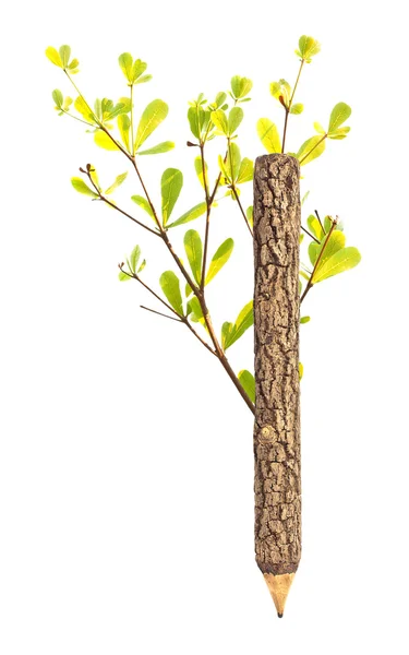 Zöld fa ceruza fehér alapon — Stock Fotó