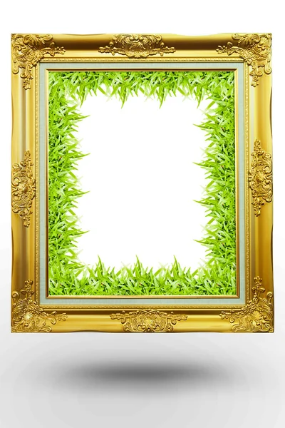 흰색 뒷면에 잔디 녹색 배경에 있는 오래 된 골동품 골드 프레임 — 스톡 사진