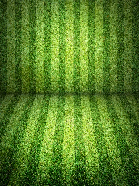 Зелений футбольне поле — стокове фото