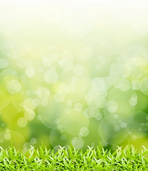 Green bokeh abstract light background — Stock Photo, Image