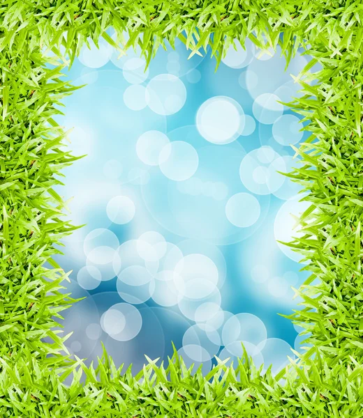 Zelené trávě rám izolované na pozadí bokeh — Stock fotografie