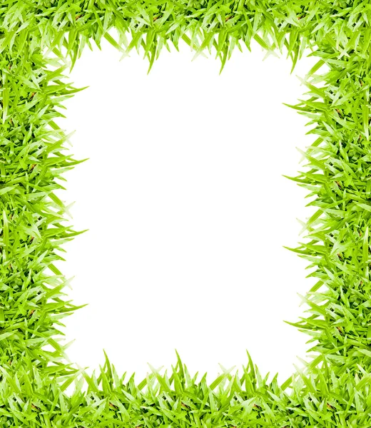 Zelená tráva rám izolované na bílém pozadí — Stock fotografie