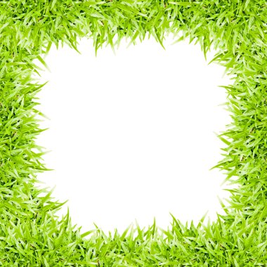 yeşil çimen çerçeve beyaz arkaplanda izole