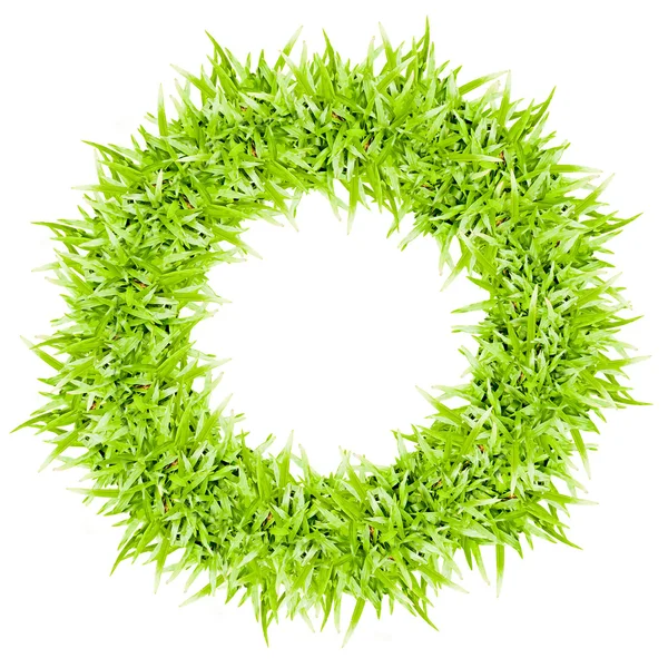 Green grass frame isolated on white background — Stock Photo, Image