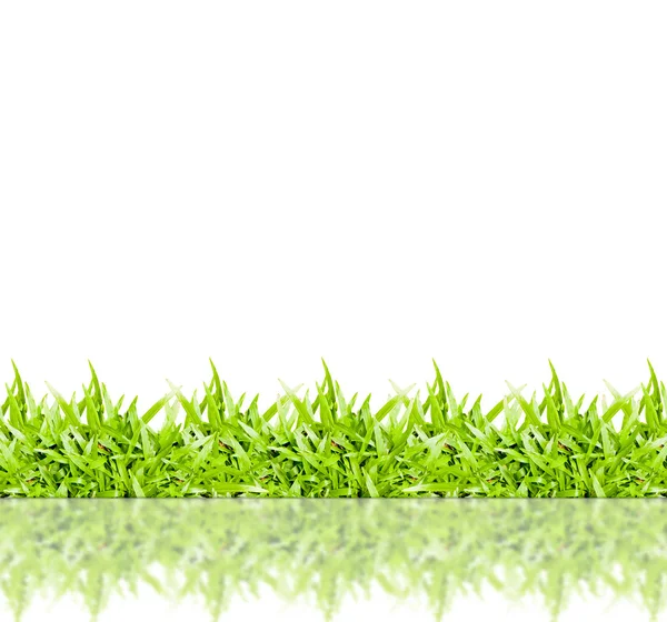 Green grass frame isolated on white background — Stock Photo, Image