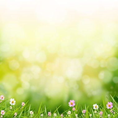 Yeşil bokeh arka ışık plan üzerinde çiçek