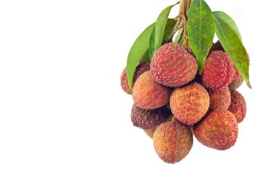 Lychee meyveleri kırmızı. Beyaz arka plan üzerinde izole taze lychees 