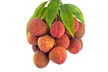 Lychee meyveleri kırmızı. Beyaz arka plan üzerinde izole taze lychees 