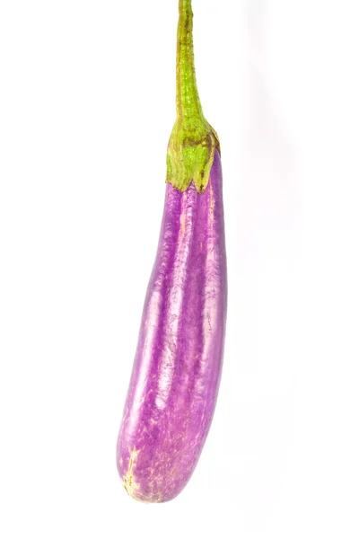 茄子的紫色，白色背景上孤立 — 图库照片