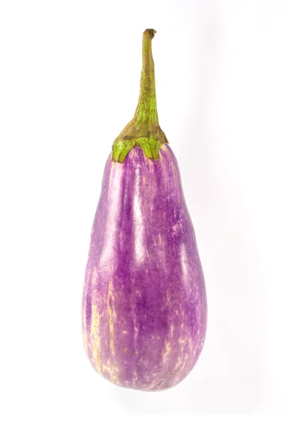 Aubergine pourpre Isolé sur fond blanc — Photo