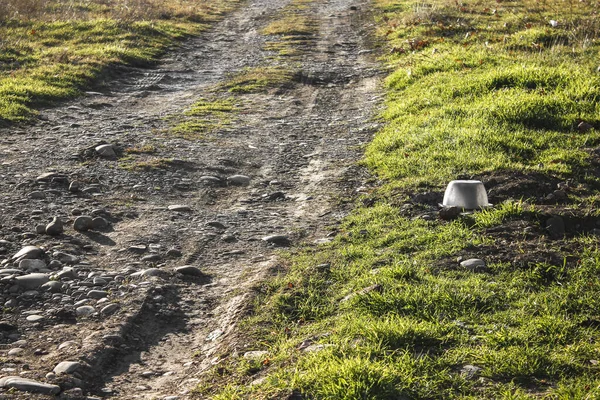 Thrown Away White Plastic Bowl Lying Green Grass — Stock Photo, Image