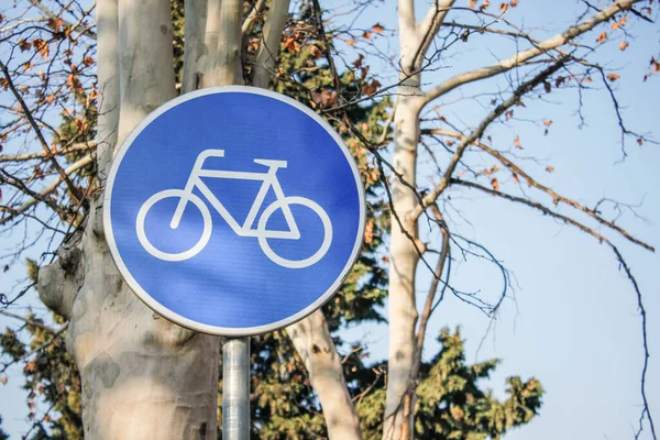 Fahrrad Verkehrsschild Mit Ästen Hintergrund Stockfoto