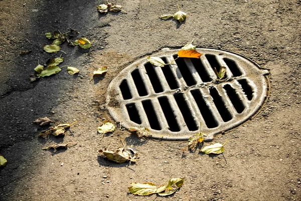 Sewer Hatch Grid Drain Collector Cover Canalisation Collector Royalty Free Stock Images