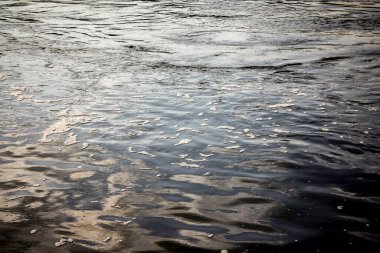 Köpüklü su yüzeyi. Kirli nehir suyu arka planı.