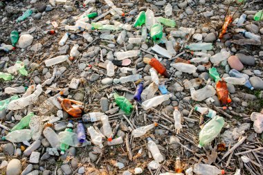 Rustavi, Georgia 'da. 11 Aralık 2021. Nehir kıyısında plastik şişeler..