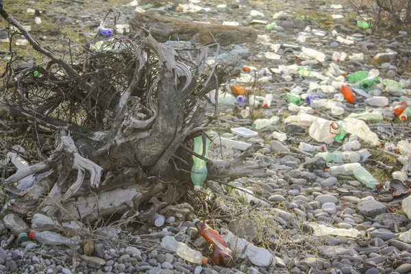 Рустави Джорджия Декабря 2021 Года Пластиковые Бутылки Берегу Реки — стоковое фото