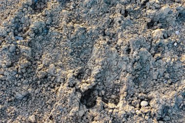 Ground surface background with abstract natural pattern.