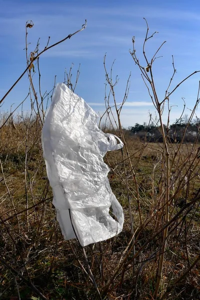 Polyethylene Pack Thrown Away Nature — Φωτογραφία Αρχείου