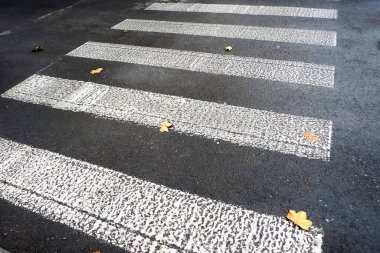 Islak asfalt yolda beyaz zebra kesişiyor.