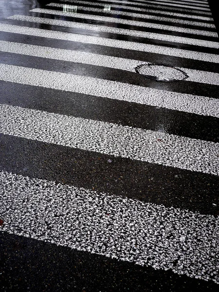 Estrada Asfalto Molhada Com Zebra Cruzando Linhas Brancas — Fotografia de Stock