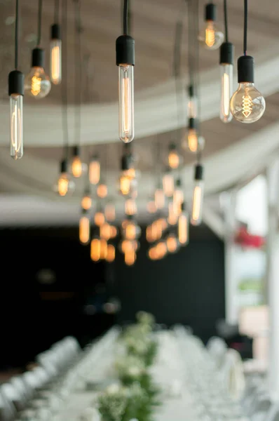 Various decorative light bulbs hanging above the wedding table.