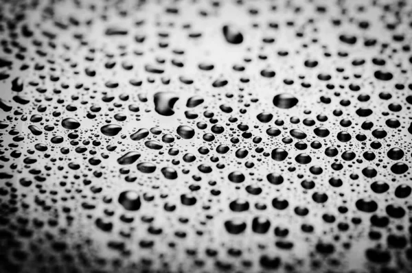 Wet Shiny Surface Water Drops Black White — Zdjęcie stockowe