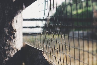 Metal ağdaki görüntüyü kapat