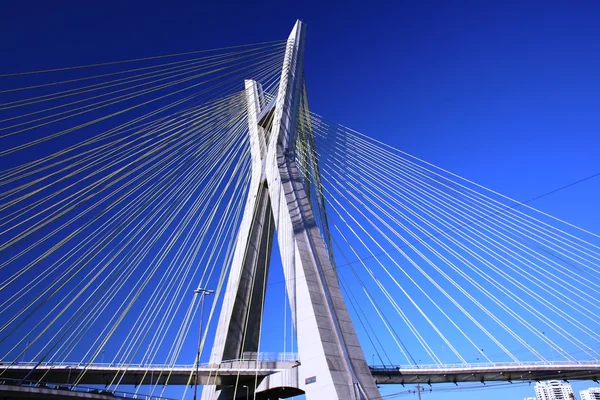 Cable-stayed bridge sao paulo Brazil