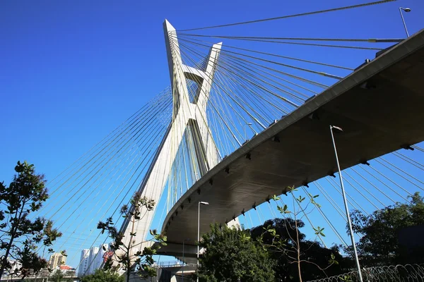 Kabel-blivet överbrygga sao paulo Brasilien — Stockfoto