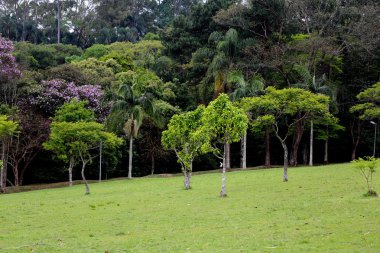 Carmo park, sao paulo Brezilya